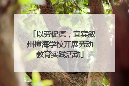 以劳促德，宜宾叙州樟海学校开展劳动教育实践活动