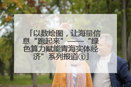 以数绘图，让海量信息“跑起来”——“绿色算力赋能青海实体经济”系列报道①