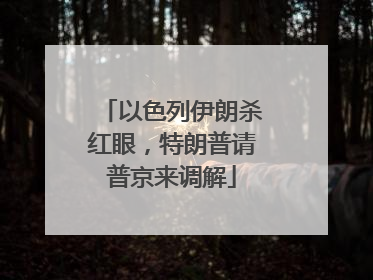 以色列伊朗杀红眼，特朗普请普京来调解