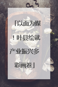 以面为媒！叶县绘就产业振兴多彩画卷
