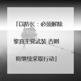以防长：必须解除黎真主党武装 否则将继续采取行动