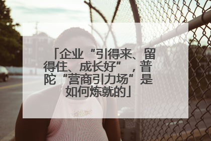 企业“引得来、留得住、成长好”，普陀“营商引力场”是如何炼就的