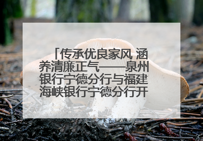 传承优良家风 涵养清廉正气——泉州银行宁德分行与福建海峡银行宁德分行开展主题党日活动