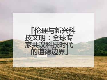 伦理与新兴科技文明：全球专家共议科技时代的道德边界