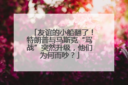 友谊的小船翻了！特朗普与马斯克“骂战”突然升级，他们为何而吵？