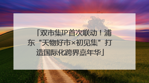 双市集IP首次联动！浦东“天物好市×初见集”打造国际化跨界嘉年华