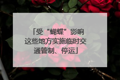 受“蝴蝶”影响 这些地方实施临时交通管制、停运
