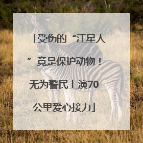 受伤的“汪星人”竟是保护动物！无为警民上演70公里爱心接力