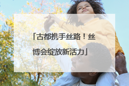 古都携手丝路！丝博会绽放新活力
