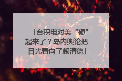 台积电对美“硬”起来了？岛内舆论把目光看向了赖清德