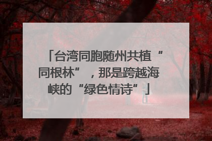 台湾同胞随州共植“同根林”，那是跨越海峡的“绿色情诗”