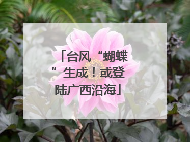 台风“蝴蝶”生成！或登陆广西沿海