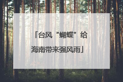 台风“蝴蝶”给海南带来强风雨