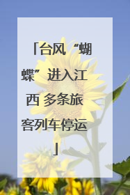 台风“蝴蝶”进入江西 多条旅客列车停运