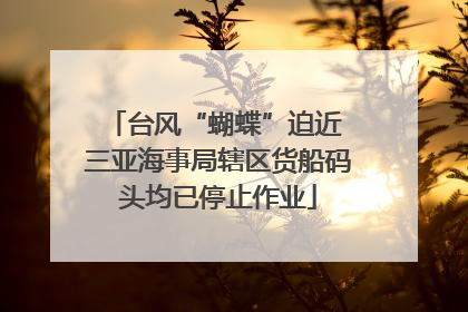 台风“蝴蝶”迫近 三亚海事局辖区货船码头均已停止作业