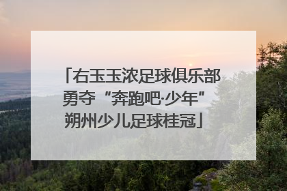 右玉玉浓足球俱乐部勇夺“奔跑吧·少年”朔州少儿足球桂冠