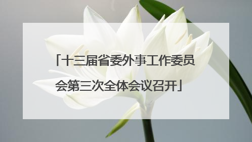 十三届省委外事工作委员会第三次全体会议召开
