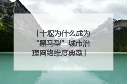 十堰为什么成为“黑马型”城市治理网络维度典型