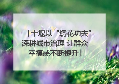 十堰以“绣花功夫”深耕城市治理 让群众幸福感不断提升