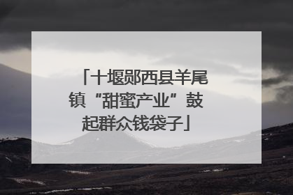 十堰郧西县羊尾镇“甜蜜产业”鼓起群众钱袋子