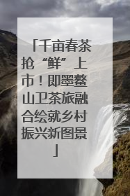 千亩春茶抢“鲜”上市！即墨鳌山卫茶旅融合绘就乡村振兴新图景