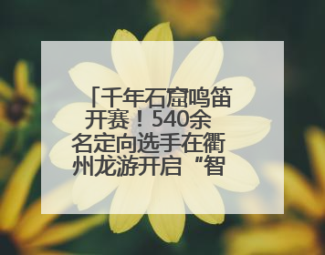 千年石窟鸣笛开赛！540余名定向选手在衢州龙游开启“智慧竞速”
