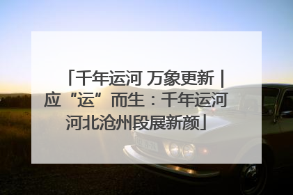 千年运河 万象更新｜应“运”而生：千年运河河北沧州段展新颜
