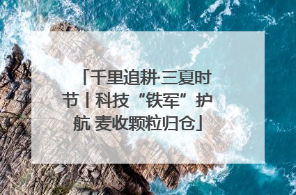 千里追耕·三夏时节丨科技“铁军”护航 麦收颗粒归仓