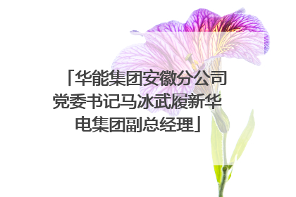 华能集团安徽分公司党委书记马冰武履新华电集团副总经理