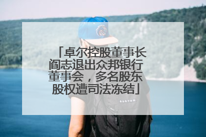 卓尔控股董事长阎志退出众邦银行董事会，多名股东股权遭司法冻结