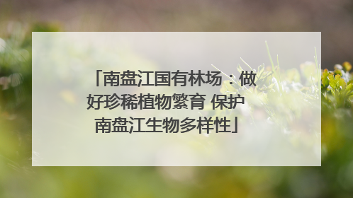 南盘江国有林场：做好珍稀植物繁育 保护南盘江生物多样性