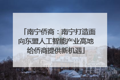 南宁侨商：南宁打造面向东盟人工智能产业高地给侨商提供新机遇