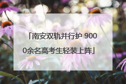 南安双轨并行护 9000余名高考生轻装上阵