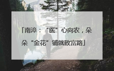 南漳：“医”心向农，朵朵“金花”铺就致富路