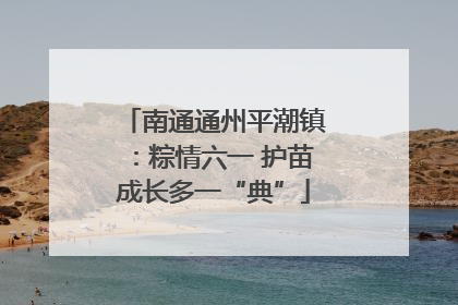 南通通州平潮镇：粽情六一 护苗成长多一“典”