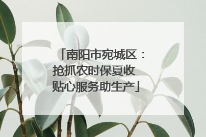 南阳市宛城区：抢抓农时保夏收 贴心服务助生产