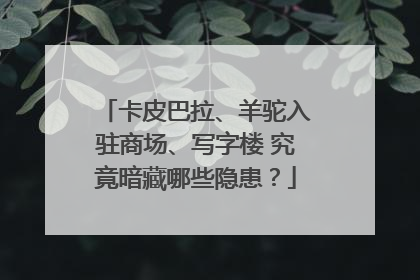 卡皮巴拉、羊驼入驻商场、写字楼 究竟暗藏哪些隐患？