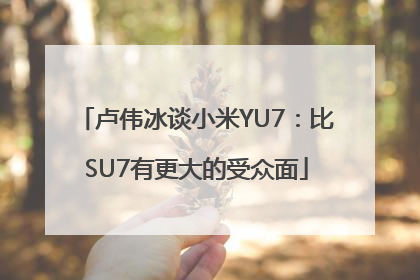 卢伟冰谈小米YU7：比SU7有更大的受众面