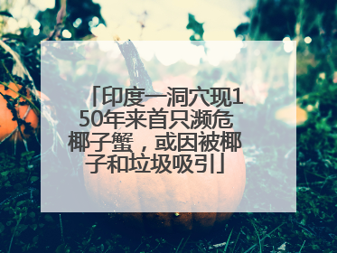 印度一洞穴现150年来首只濒危椰子蟹，或因被椰子和垃圾吸引