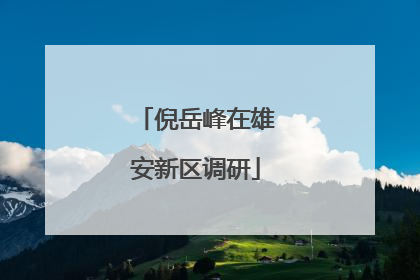 倪岳峰在雄安新区调研