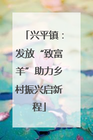 兴平镇：发放“致富羊”助力乡村振兴启新程