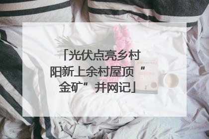 光伏点亮乡村 阳新上余村屋顶“金矿”并网记