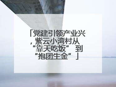党建引领产业兴，紫云小湾村从 “靠天吃饭” 到 “抱团生金”