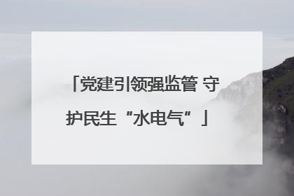 党建引领强监管 守护民生“水电气”