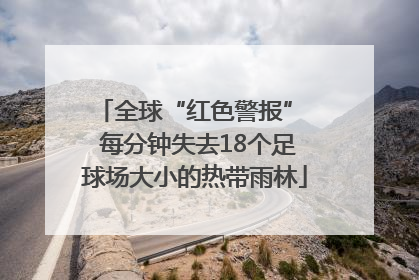全球“红色警报”  每分钟失去18个足球场大小的热带雨林
