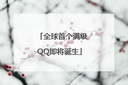 全球首个满级QQ即将诞生