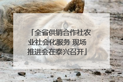 全省供销合作社农业社会化服务 现场推进会在泰兴召开