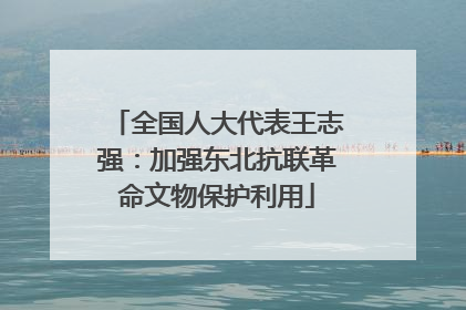 全国人大代表王志强：加强东北抗联革命文物保护利用