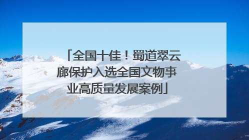 全国十佳！蜀道翠云廊保护入选全国文物事业高质量发展案例