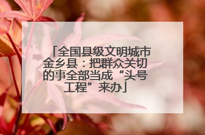 全国县级文明城市金乡县：把群众关切的事全部当成“头号工程”来办